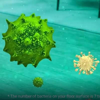 Bacterias y virus